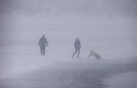 A dog was walked on a Newport, R.I. beach during Saturday?s snowstorm.

